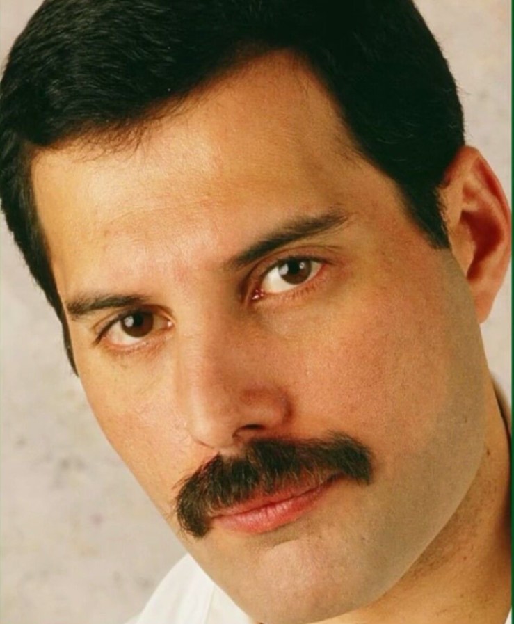 Freddie Mercury's moustache